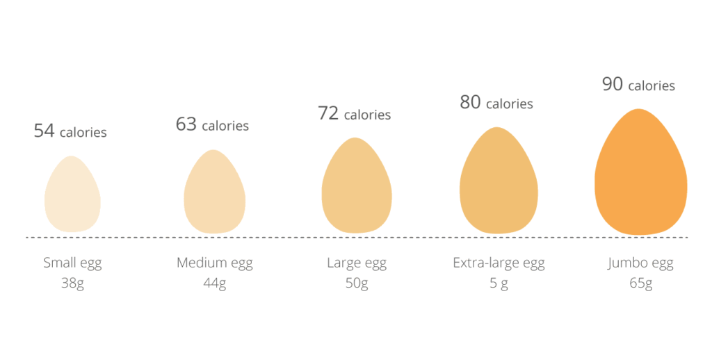 Calories In An Egg